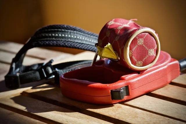 leash, dog harness, collar, port envelopes, dogs, pets, walk, friendship, envelopes, bags, leash, dog harness, dog harness, dog harness, dog harness, dog harness. Equipment brands for a pet sitting business, compared
