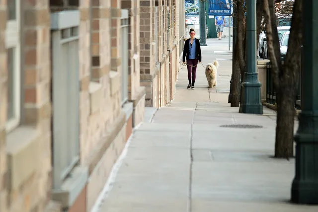 woman, girl, young, adult, female, walking, dog, stroll, sidewalk, downtown, denver, lodo, hipster, lifestyle, dog lover, animal, nature, companion, together, happy, happiness, pet, dog walker, city, urban scene, person, love. Which markets actually reward a new pet sitting business?