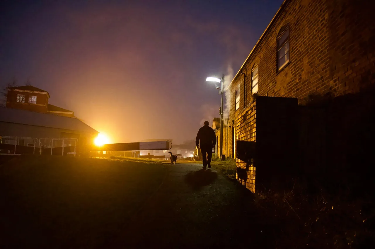 dog walker, night, alley, street. Pet sitting software ranked: which ones earn a place