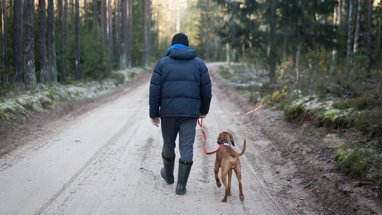 outdoors, man with dog, tourism, travel, road, snow, nature, wood, dog, tree, man, walk, adult, adventure, recreation, leisure, forest, vacation, hiking, freedom, tourist, camp, camping, expedition, recreational, activity, gray forest, animal, pet, gray travel, gray dog, gray tree, gray road, gray wood, gray walking, gray snow, gray camping. Winter route planning for pet sitting walkers in Canada