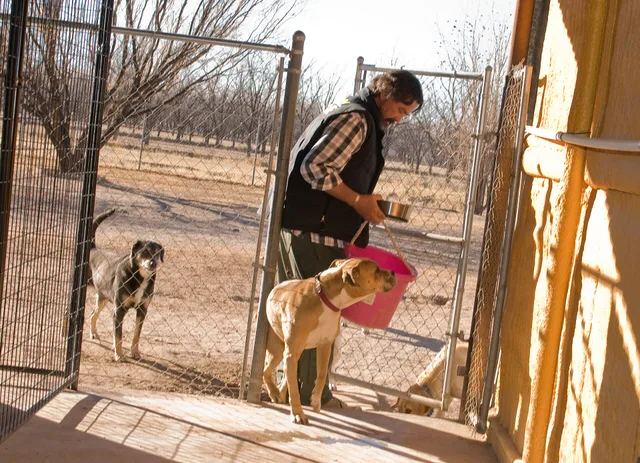 John Conwell, a retired Army helicopter pilot, tends to several dogs Jan. 20, 2012, at the Howl a Day Inn, a boarding, daycare and training facility located in west El Paso. Conwell retired in April 2011 after more than 23 years of active service. He is an advocate for No Kill El Paso, a program tha. Care, custody and control cover vs general liability for Canadian pet sitters