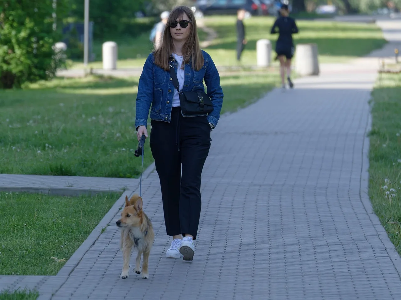 woman, dog, walking, pet, animal, sunglasses, leash, together, pavement, urban, path, outdoors. Hiring for a pet sitting business: finding people who show up