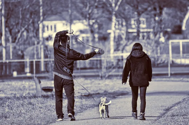 man, pet, woman, persons, people, dog, canine, walking, together, animal, leash, dog leash, walking the dog, untangling, footpath, road. How to start a pet sitting business without the guesswork
