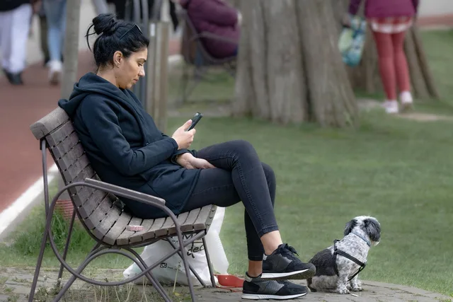 woman, smartphone, sitting, park bench, nature, dog, pet, animal, canine, relaxation, outdoors, park, grass, lifestyle. Ranking a pet sitting business locally: checklist