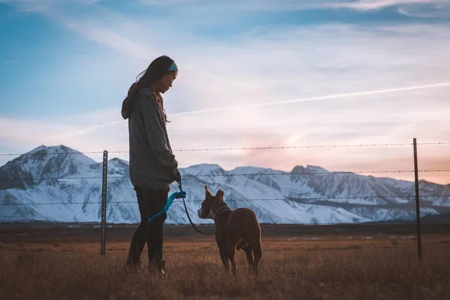 dog, girl, fence, pet, nature, owner, companion, friend, friendship, field, animal, landscape, mountain, outdoors, woman, young woman, walk the dog, leash, dog leash. Pet sitting equipment: what to buy first