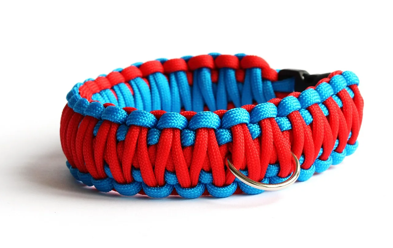 paracord bracelet, dog collar, woven, paracord dog collar, accessory, paracord, closeup, dog collar, paracord, paracord, paracord, paracord, paracord. Pet sitting gear for new owners, itemised