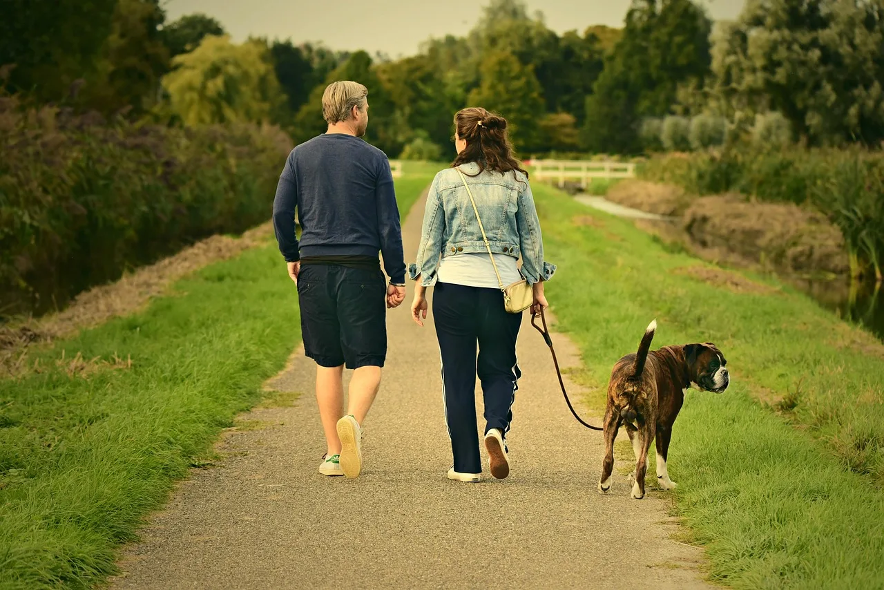 couple, love, outdoors, walking, pair, nature, dog, animal, mammal, canine, pet, man, male, boy, woman, female, girl, romance, relationship, together, joy, happiness. The monthly numbers a pet sitting business owner should watch for a small operation