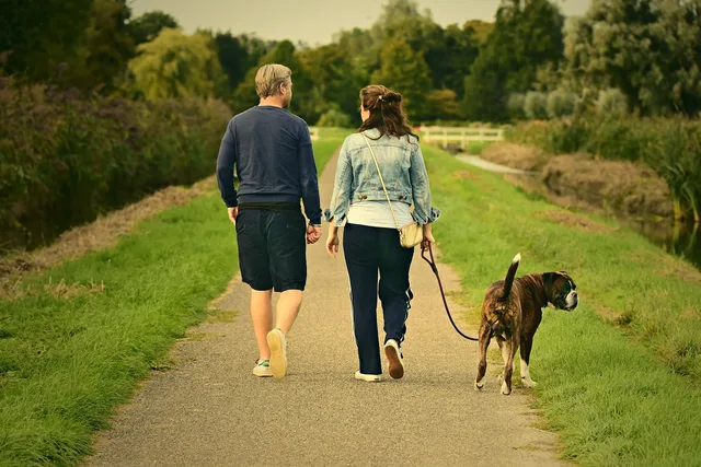 couple, love, outdoors, walking, pair, nature, dog, animal, mammal, canine, pet, man, male, boy, woman, female, girl, romance, relationship, together, joy, happiness. The monthly numbers a pet sitting business owner should watch for a small operation