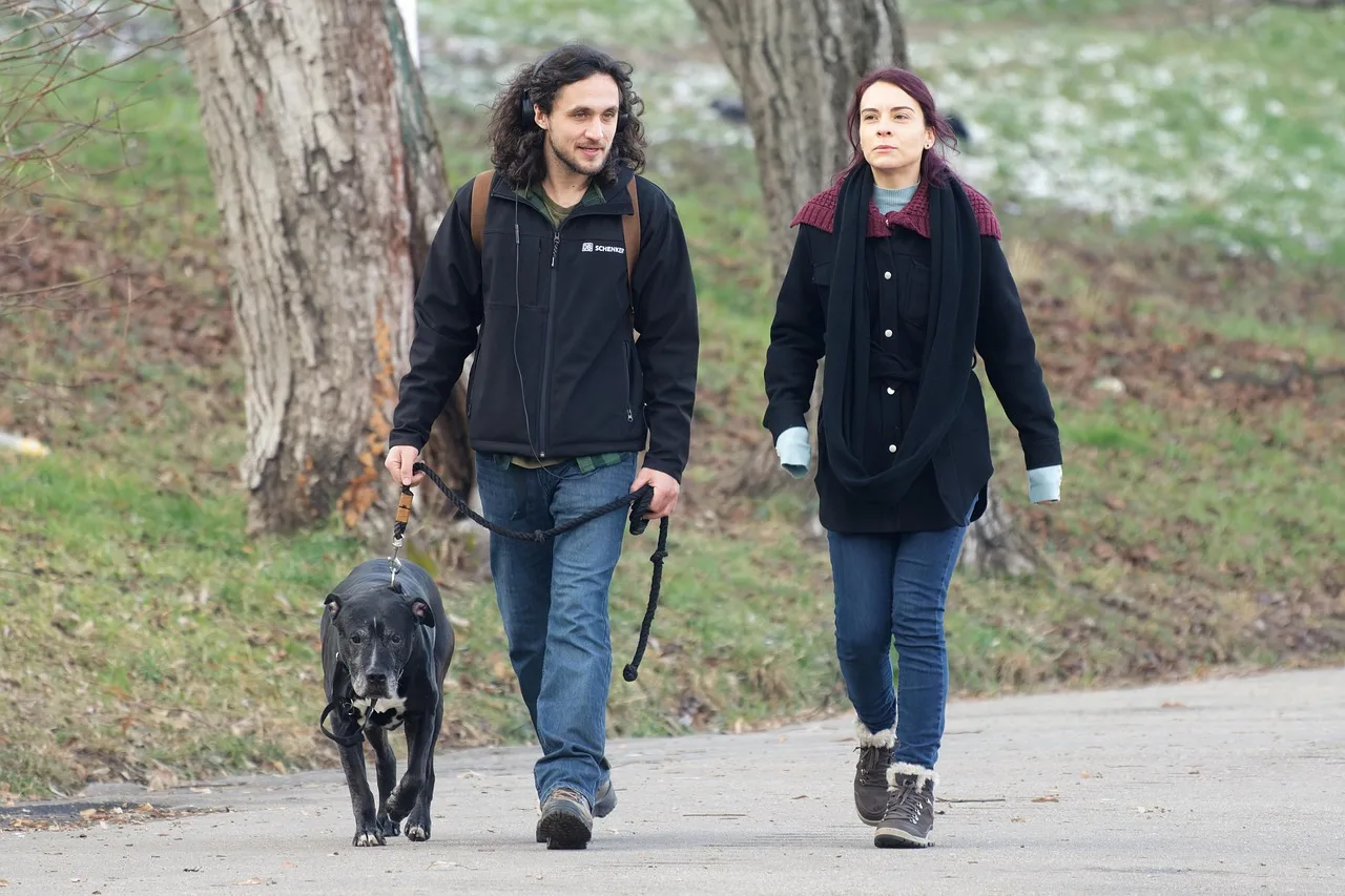 couple, friendship, happy, dog, pet, animal, leash, walking, together, park, leisure. Pet sitting packages customers actually buy for 2027