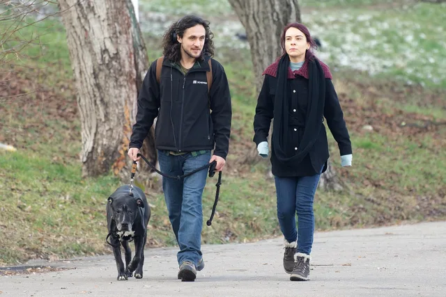 couple, friendship, happy, dog, pet, animal, leash, walking, together, park, leisure. Pet sitting packages customers actually buy for 2027