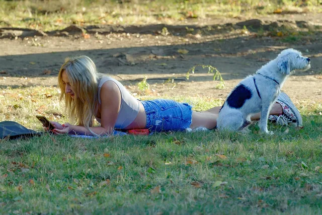 girl, blond, looking, smartphone, outdoors, grass, park, dog, pet, nature, animal, canine, relaxation, together, lifestyle. The pet sitting trend report for owners in 2027