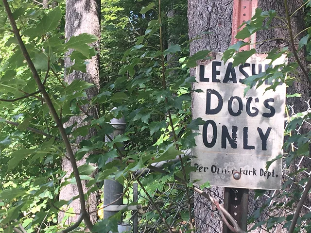 a signs informing dog walkers of a leash requirement in Nashua, New Hampshire's Mine Falls Park. Which permits does a Toronto dog walker need under Chapter 349?